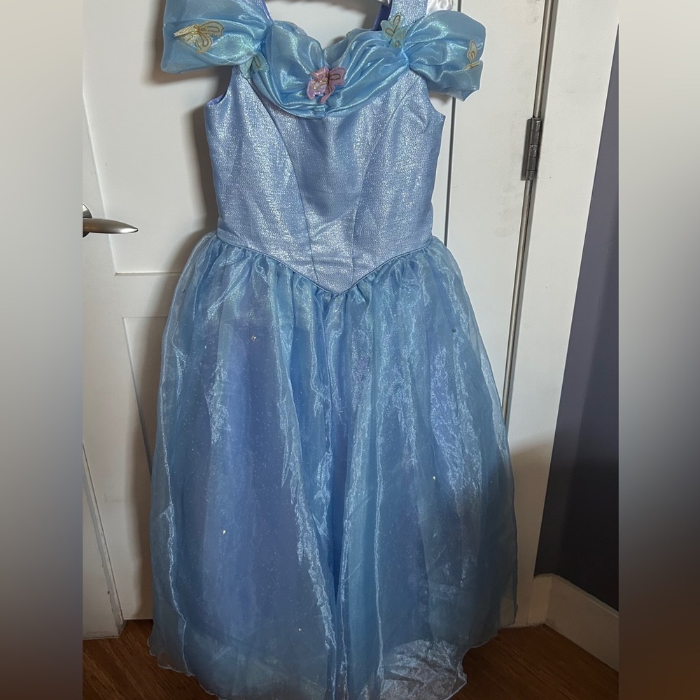 Chasing Fireflies Cinderella Dress